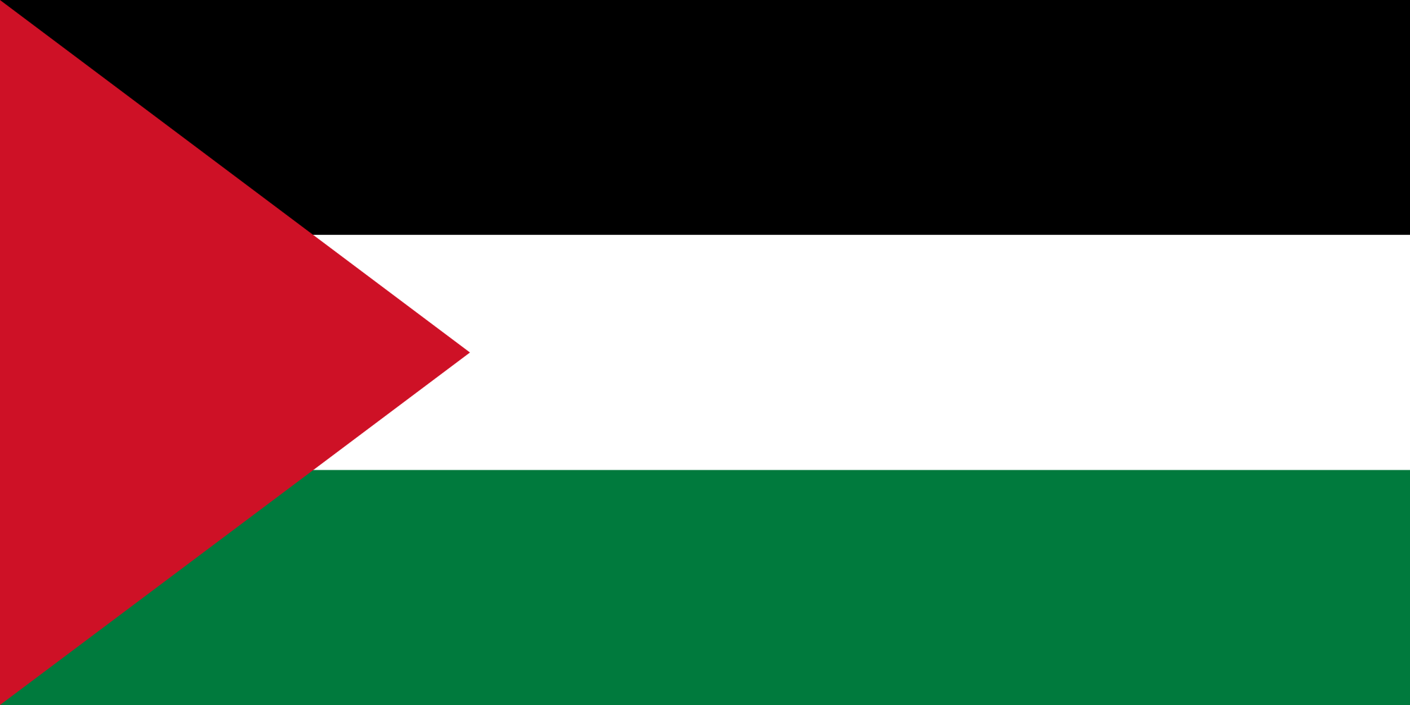 Offshore Software Development in Palestine