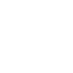 100.png