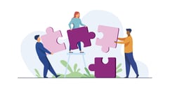 Accelerance making order out of chaos software outsourcing enewsletter