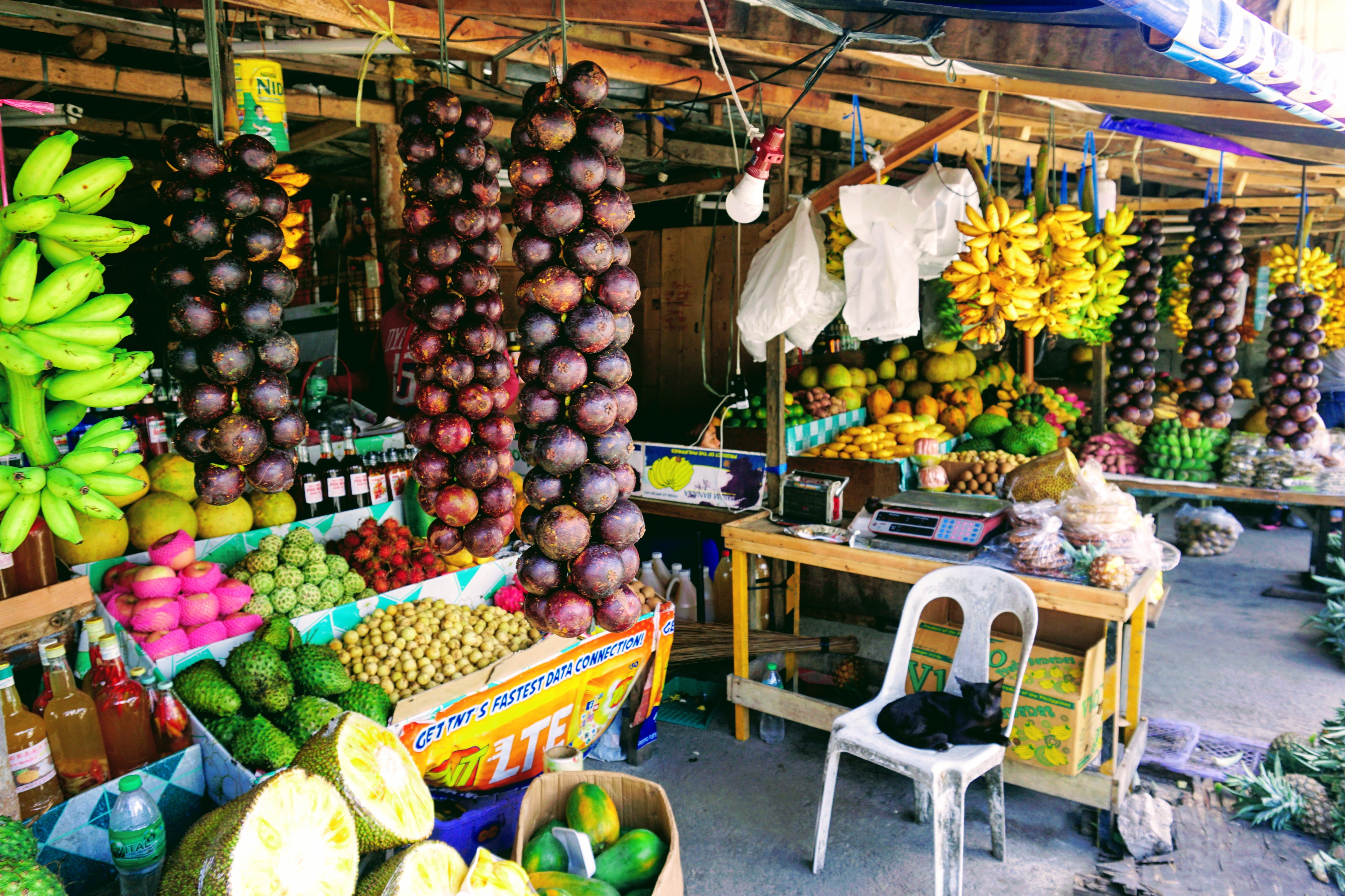 Philippines fruit market