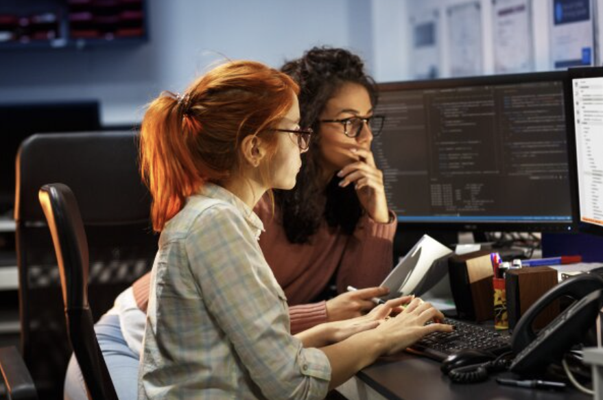 A Look At The Software Developer's Work Environment