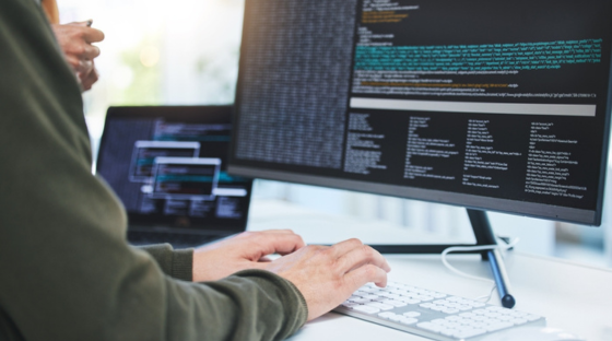 Software developers in Lithuania