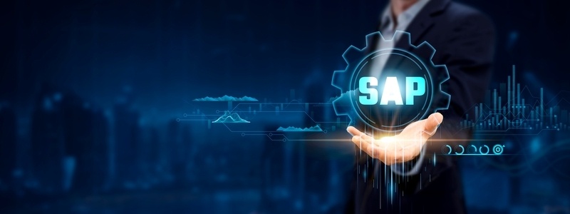 SAP provides the tools and technologies you need to succeed in the digital economy.